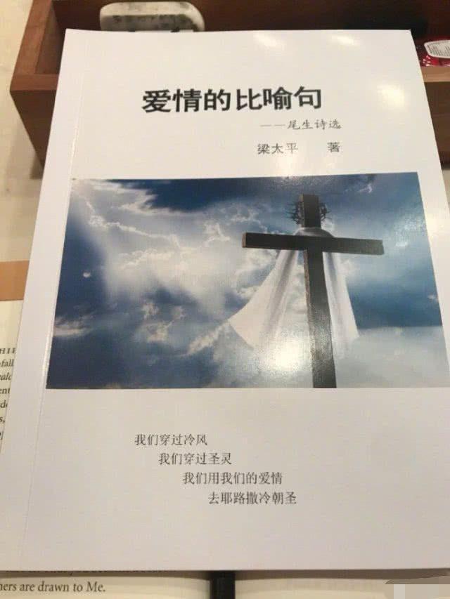 袁立和诗人_袁立歌曲视频_
