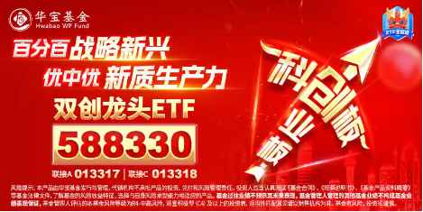 _医疗装备龙头_医辽器械龙头