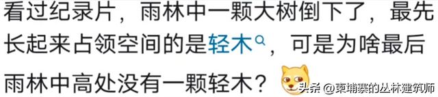 鹰酱最大的缺点是什么？网友剖析一针见血，真是说到心窝子里了！__鹰酱最大的缺点是什么？网友剖析一针见血，真是说到心窝子里了！