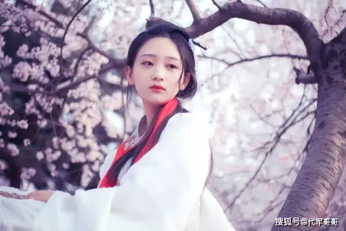 _黛玉重生现代小说_好看的黛玉重生文