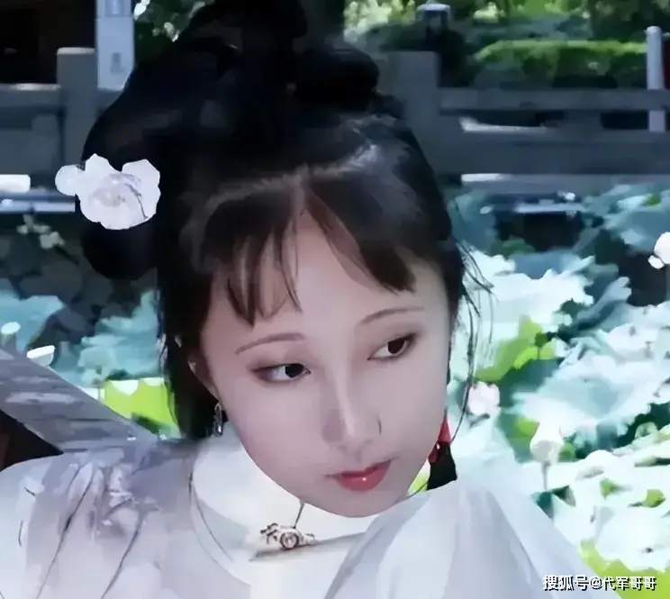 黛玉重生现代小说_好看的黛玉重生文_