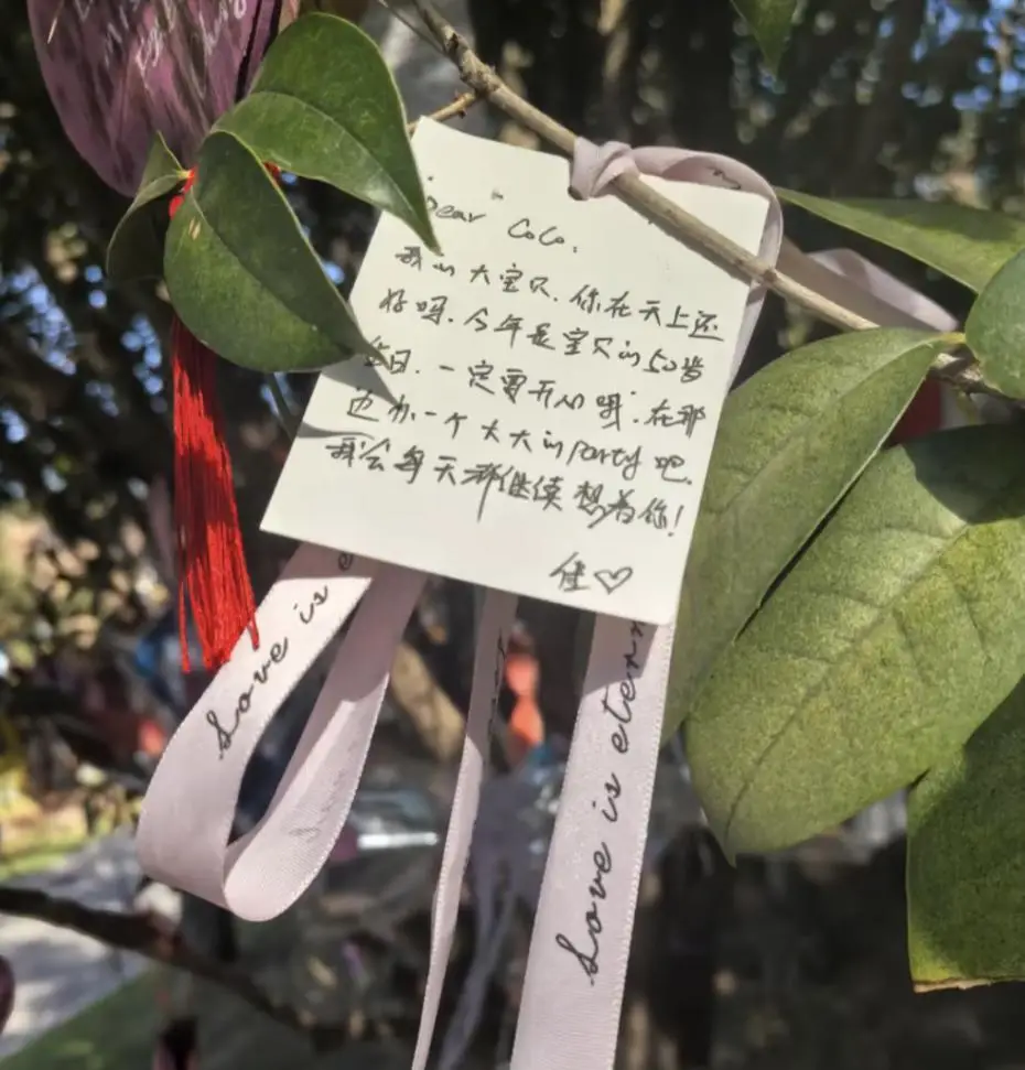 李玟50岁冥诞，墓地前摆放着粉色鲜花，遗作上线歌词惹泪目_李玟50岁冥诞，墓地前摆放着粉色鲜花，遗作上线歌词惹泪目_