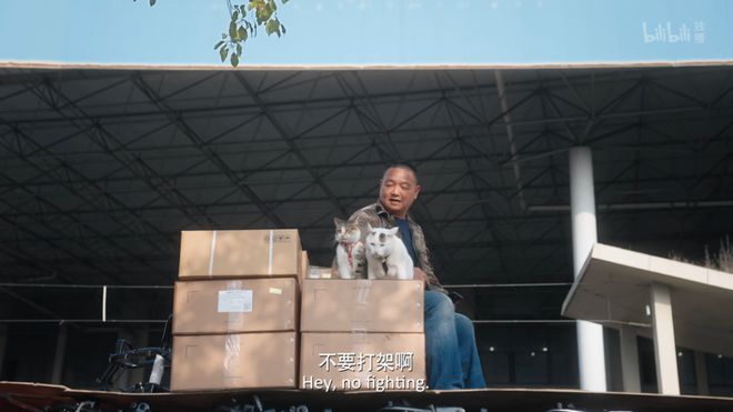 _这部9.8分的“猫片”，看哭了无数人_这部9.8分的“猫片”，看哭了无数人