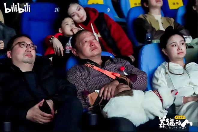 这部9.8分的“猫片”，看哭了无数人__这部9.8分的“猫片”，看哭了无数人