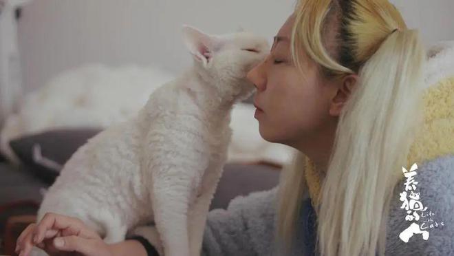 _这部9.8分的“猫片”，看哭了无数人_这部9.8分的“猫片”，看哭了无数人
