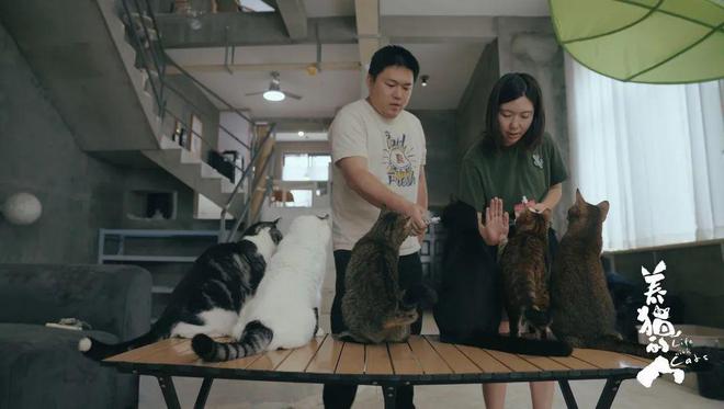 这部9.8分的“猫片”，看哭了无数人__这部9.8分的“猫片”，看哭了无数人