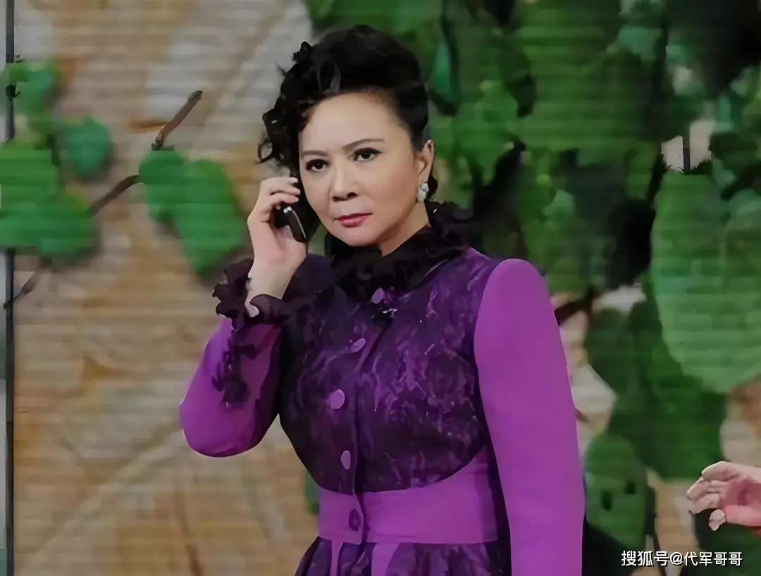 春晚明星排名_春晚哪位明星上得最多_