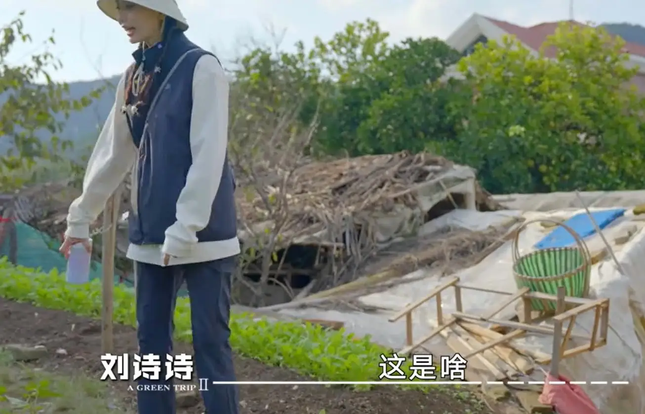 _刘诗诗皮背心_娱乐旋风认识电视真人秀