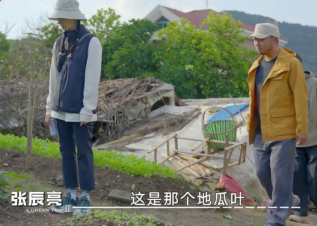 娱乐旋风认识电视真人秀_刘诗诗皮背心_