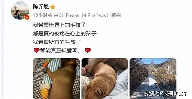 网红潘宏塌房，操作不专业导致顶流犬死亡，其众多黑历史被挖出来__网红潘宏塌房，操作不专业导致顶流犬死亡，其众多黑历史被挖出来