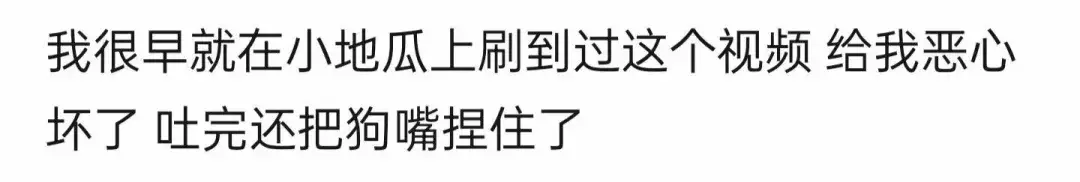 _网红潘宏塌房，操作不专业导致顶流犬死亡，其众多黑历史被挖出来_网红潘宏塌房，操作不专业导致顶流犬死亡，其众多黑历史被挖出来