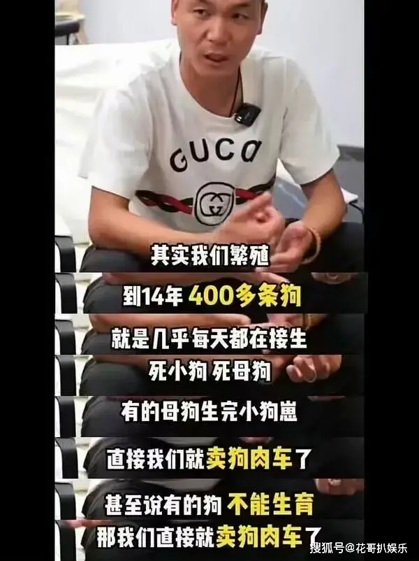 _网红潘宏塌房，操作不专业导致顶流犬死亡，其众多黑历史被挖出来_网红潘宏塌房，操作不专业导致顶流犬死亡，其众多黑历史被挖出来