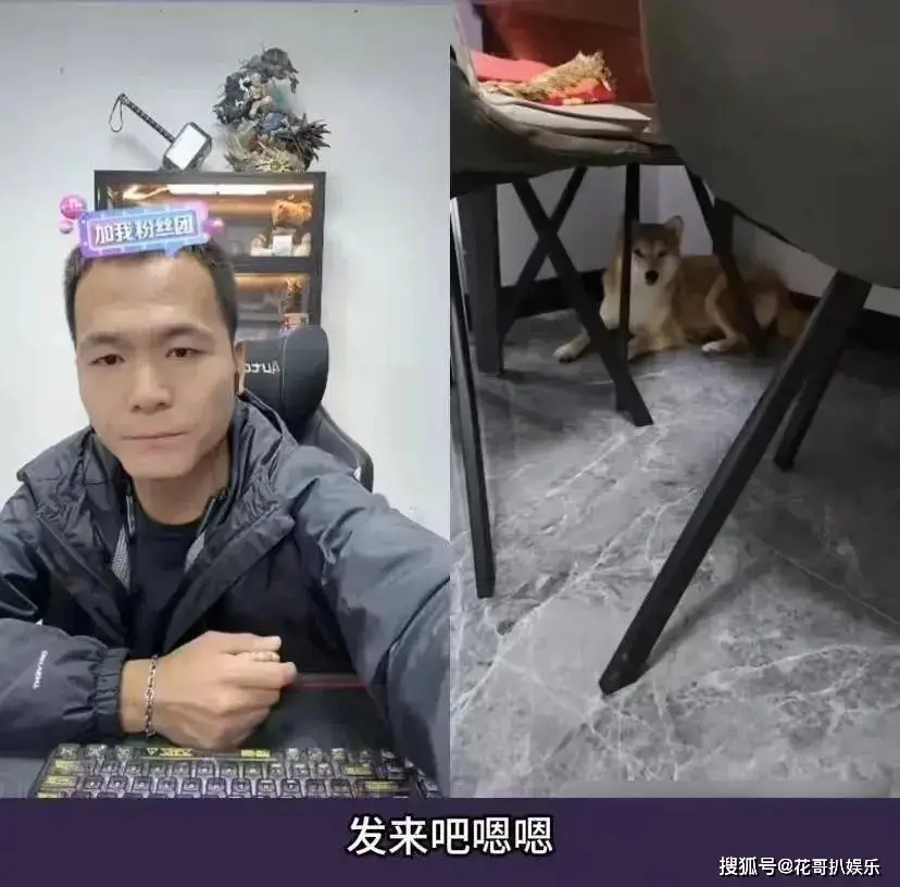 网红潘宏塌房，操作不专业导致顶流犬死亡，其众多黑历史被挖出来__网红潘宏塌房，操作不专业导致顶流犬死亡，其众多黑历史被挖出来