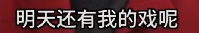 _倪萍道歉_倪萍痛哭
