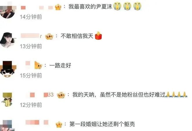 大s为什么说杉菜土__大s杉菜发型
