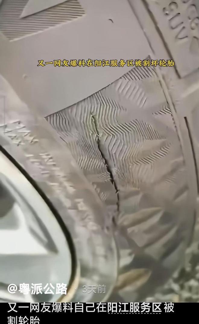 阳江租房网最新消息__阳江市网红店