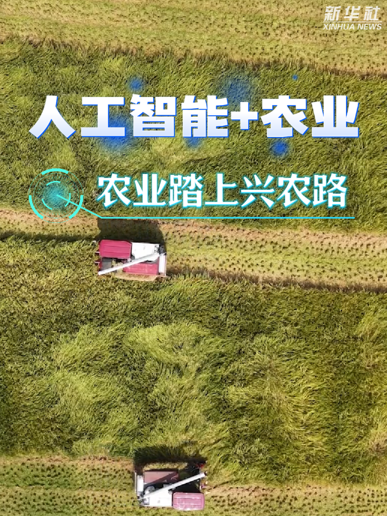 _安兴智_数字中国智领未来重庆研讨会