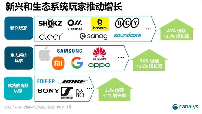 音频市场份额_2018年全球智能可穿戴设备_