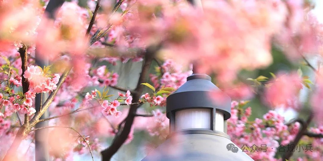 _柔肩担重任-证券公司女性担任高管情况_柔肩担重任-证券公司女性担任高管情况