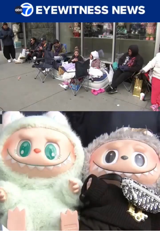 市民凌晨排队抢购狗票_玩具小毛绒兔子_