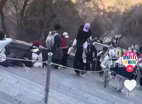 第三调解室姐俩挣房__室宿室火猪很聪明