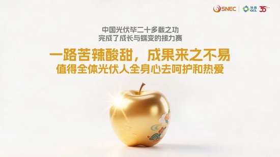 _协鑫集团朱共山：以牺牲合理利润为代价的极致降本、极限竞争，无异于饮鸩止渴_协鑫集团朱共山：以牺牲合理利润为代价的极致降本、极限竞争，无异于饮鸩止渴