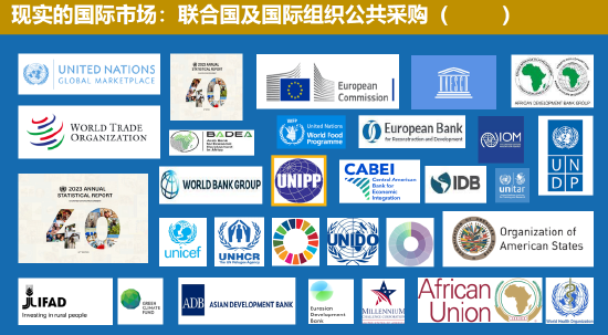 中国联合国采购促进会宋嘉：企业出海是一种战略选择_中国联合国采购促进会宋嘉：企业出海是一种战略选择_