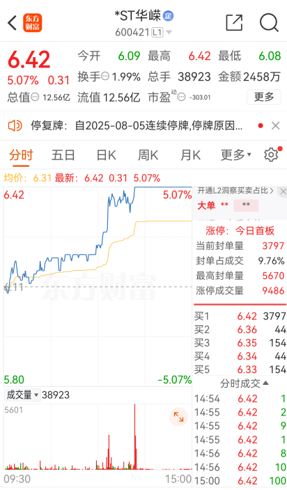 涨停板停牌_因涨停被停牌过的股_