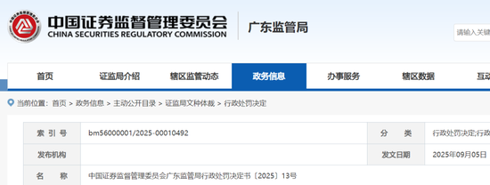 审计报告造假判刑__审计造假的案例