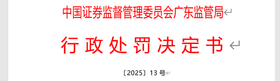 _审计造假的案例_审计报告造假判刑