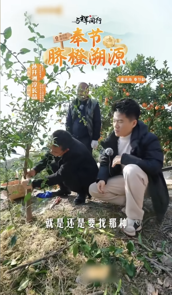 董宇辉：商业的终点是人心 价值比价格更动人__董宇辉：商业的终点是人心 价值比价格更动人