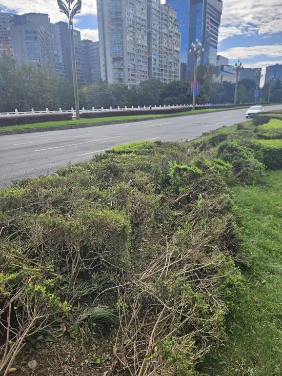 _小米汽车失控起火司机遇难，目击者称车速150km/h，实探事故地：燃烧留下的印记仍在_小米汽车失控起火司机遇难，目击者称车速150km/h，实探事故地：燃烧留下的印记仍在
