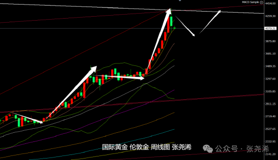 灰犀牛风险是什么_灰犀牛对股市的影响_