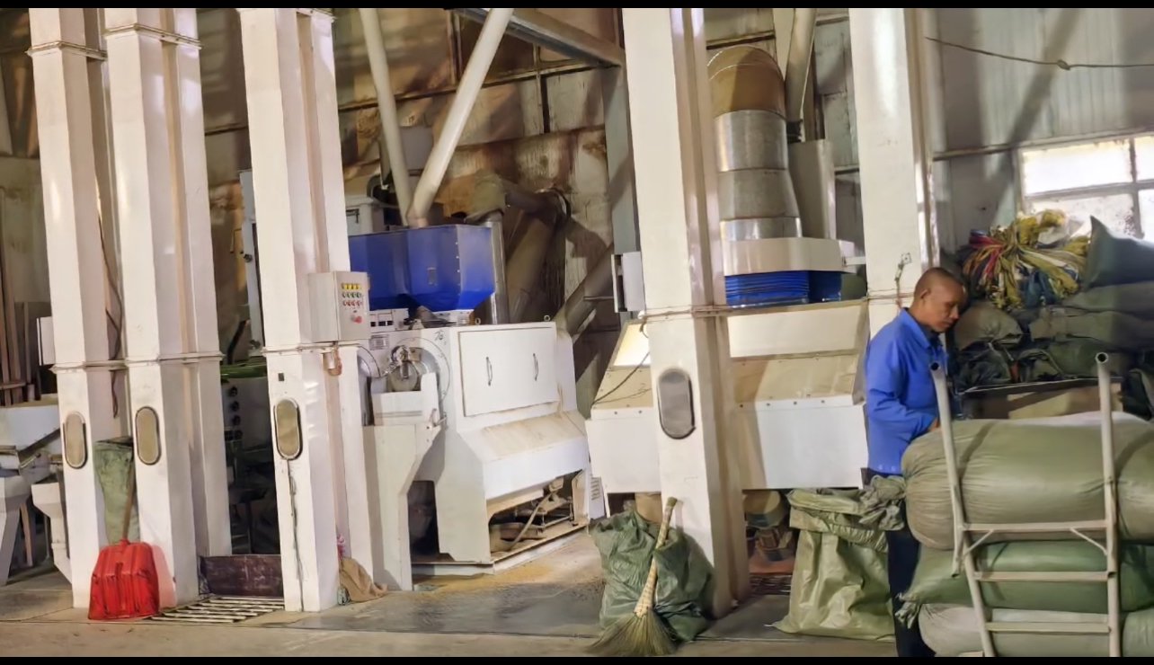 _咖啡豆涨价了吗_咖啡生豆价格走势