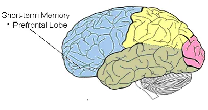 谷歌祭出Transformer杀手，8年首次大突破！掌门人划出AGI死线__谷歌祭出Transformer杀手，8年首次大突破！掌门人划出AGI死线