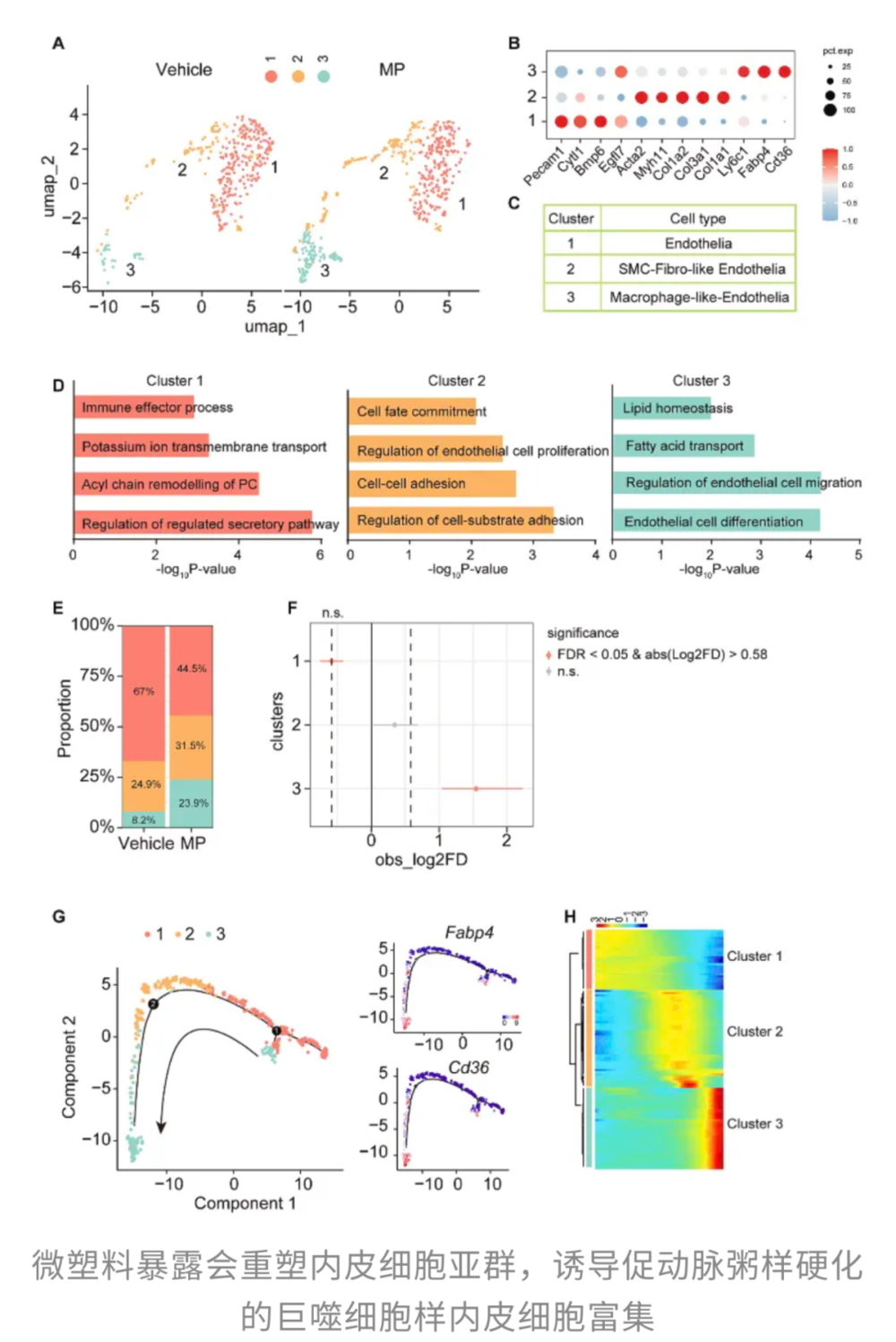 _每一口外卖、瓶装水都在伤害心脏和生育力,最新研究:微塑料不仅加剧动脉粥样硬化,还侵入男性生殖系统,不粘锅涂层竟成“帮凶”_每一口外卖、瓶装水都在伤害心脏和生育力,最新研究:微塑料不仅加剧动脉粥样硬化,还侵入男性生殖系统,不粘锅涂层竟成“帮凶”