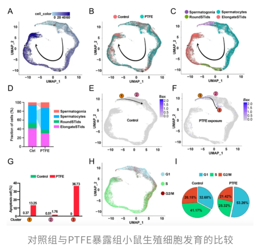 每一口外卖、瓶装水都在伤害心脏和生育力,最新研究:微塑料不仅加剧动脉粥样硬化,还侵入男性生殖系统,不粘锅涂层竟成“帮凶”_每一口外卖、瓶装水都在伤害心脏和生育力,最新研究:微塑料不仅加剧动脉粥样硬化,还侵入男性生殖系统,不粘锅涂层竟成“帮凶”_