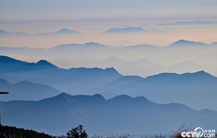 _海南坠楼事件_海南坠楼视频