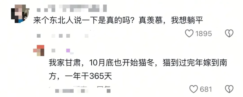 北漂顶级归属感：猫冬？_北漂顶级归属感：猫冬？_