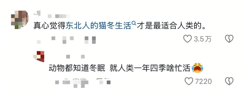 北漂顶级归属感：猫冬？_北漂顶级归属感：猫冬？_