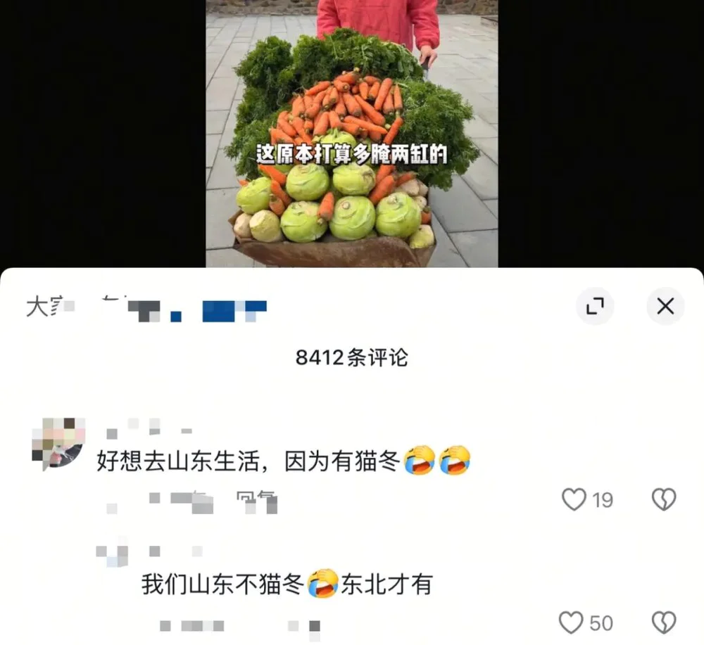 北漂顶级归属感：猫冬？__北漂顶级归属感：猫冬？