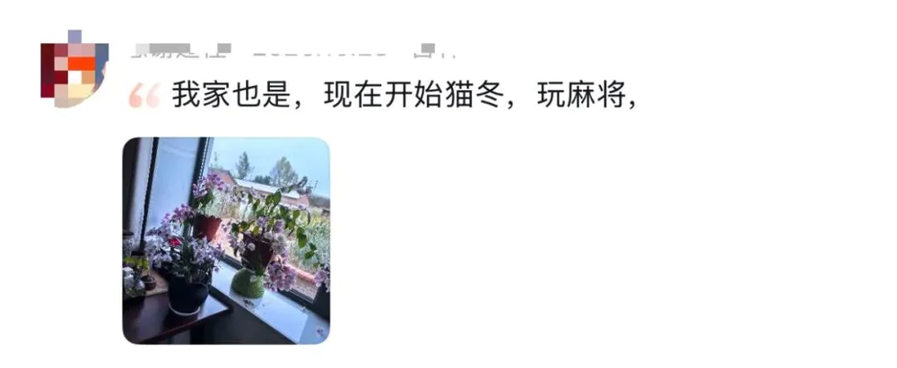 北漂顶级归属感：猫冬？__北漂顶级归属感：猫冬？