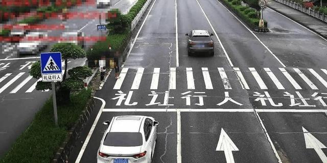专家提议调整礼让行人规则,车主呼声高涨-有驾